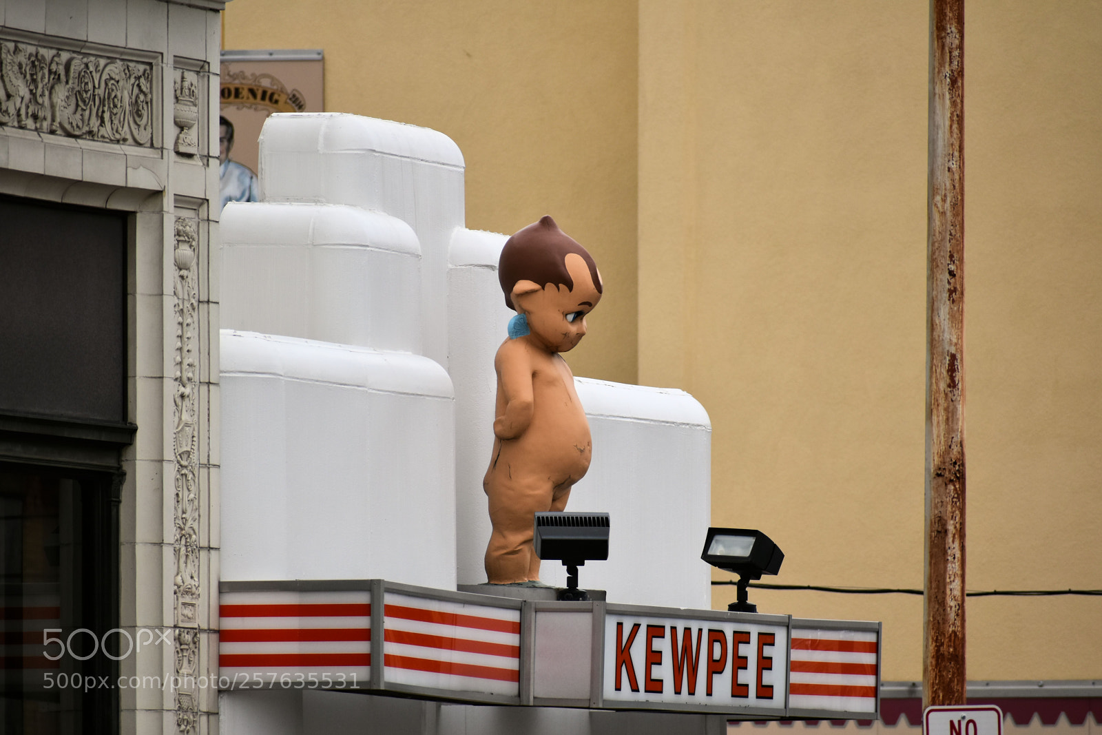 Nikon D5500 sample photo. Kewpee photography
