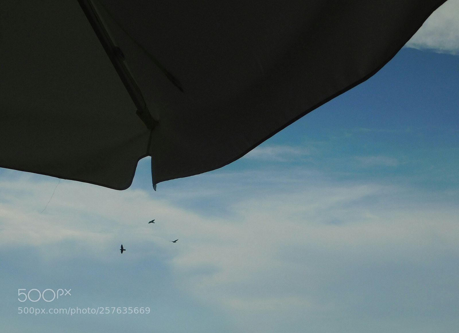 Nikon Coolpix B500 sample photo. Below the parasols photography