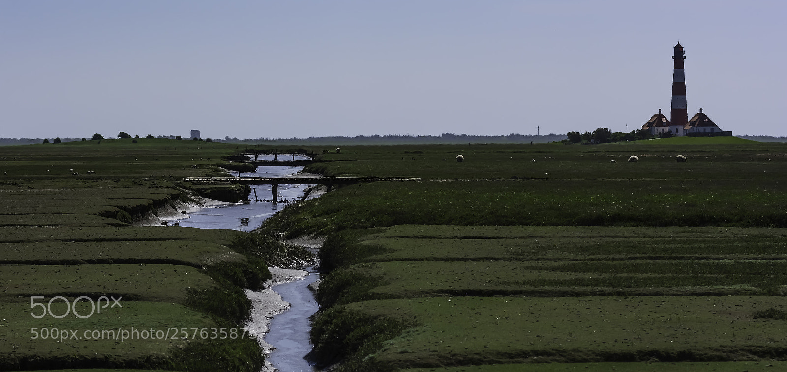 Nikon D7100 sample photo. Salzwiesen mit westerhever photography