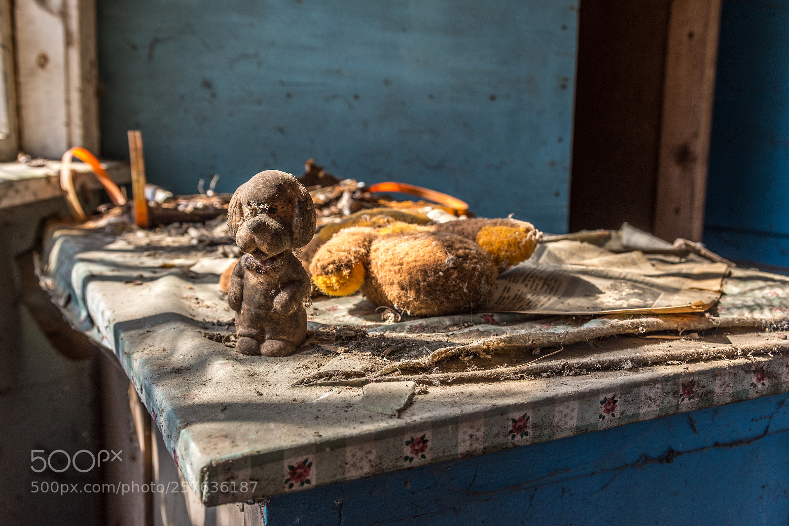 Nikon D7200 sample photo. Waiting for the owner... photography