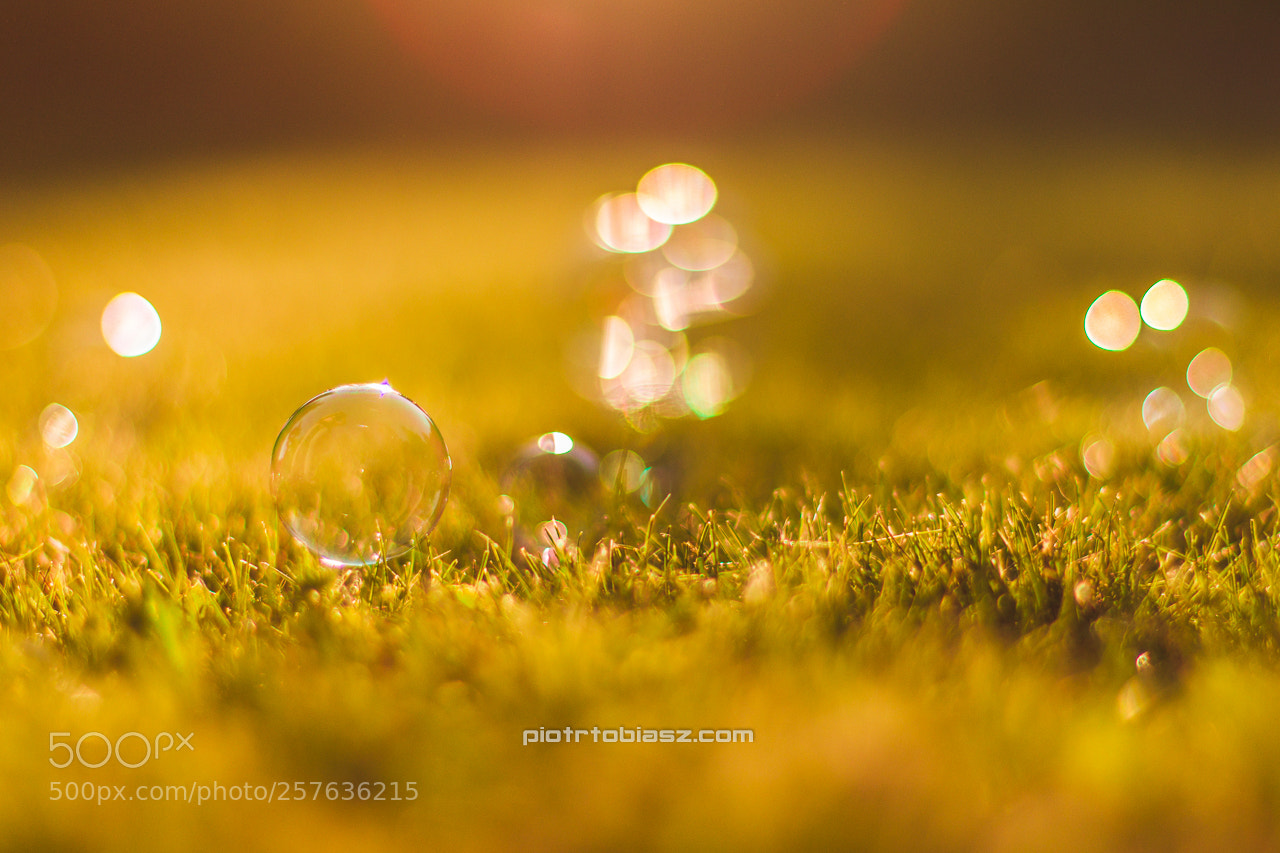 Canon EOS 7D sample photo. Soap bubble photography