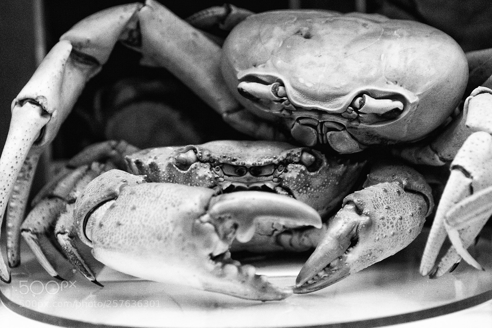 Nikon D7200 sample photo. Grim love photography