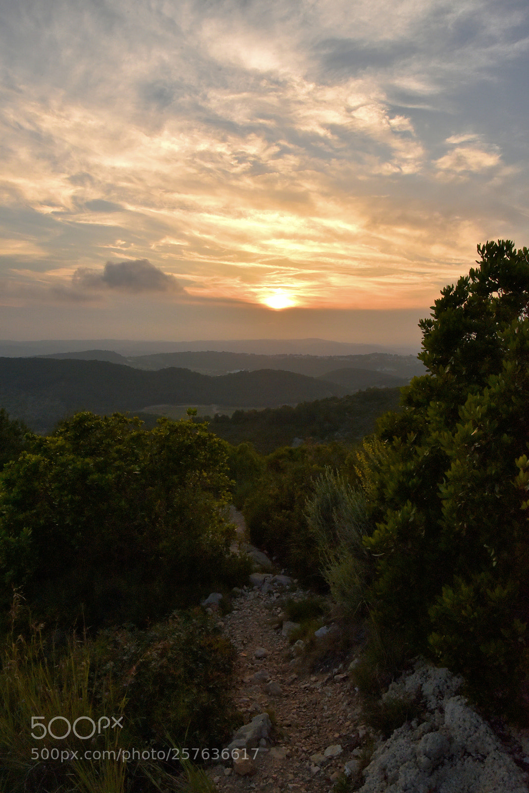 Nikon D750 sample photo. Time to go home photography