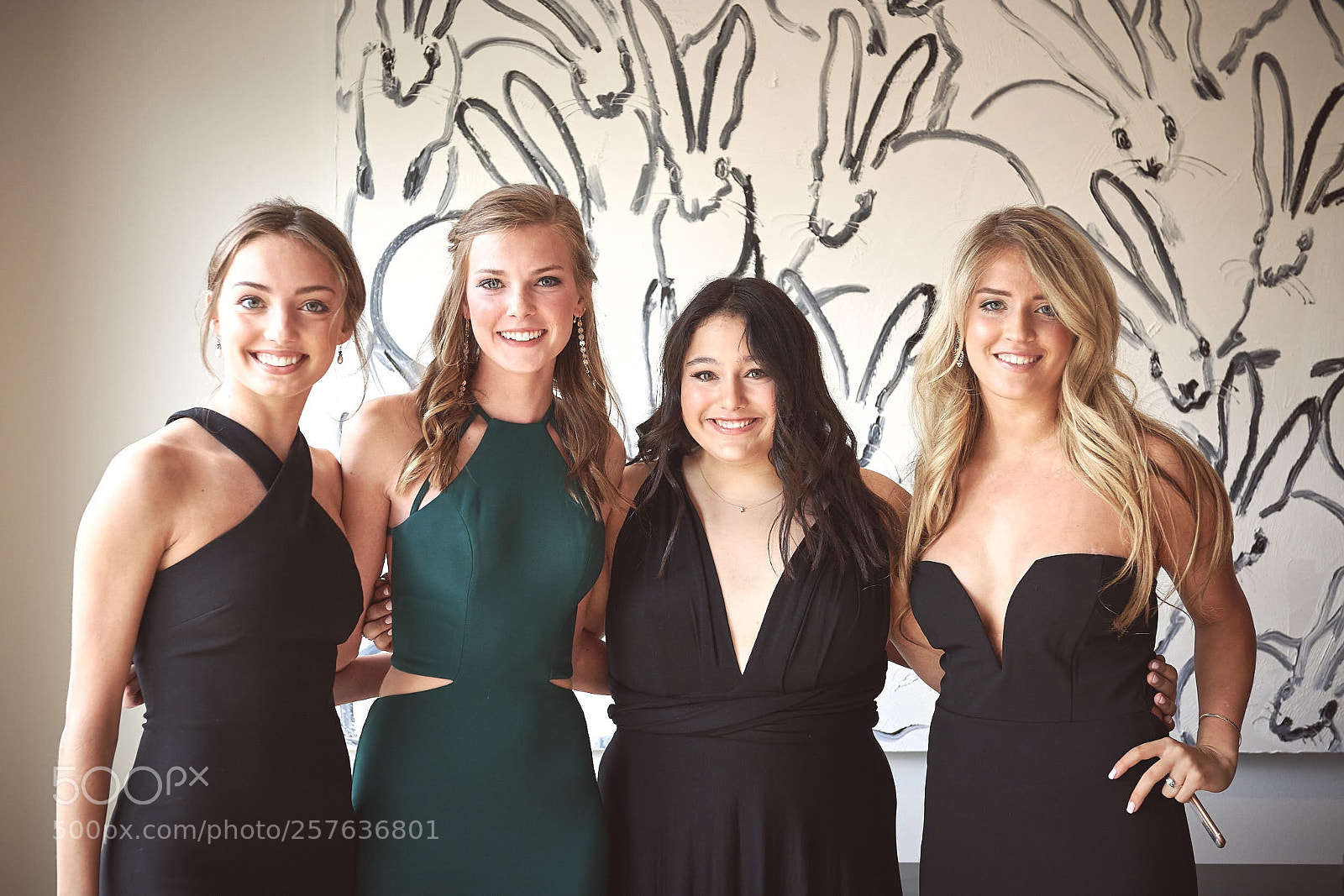Nikon D850 sample photo. That one time before photography