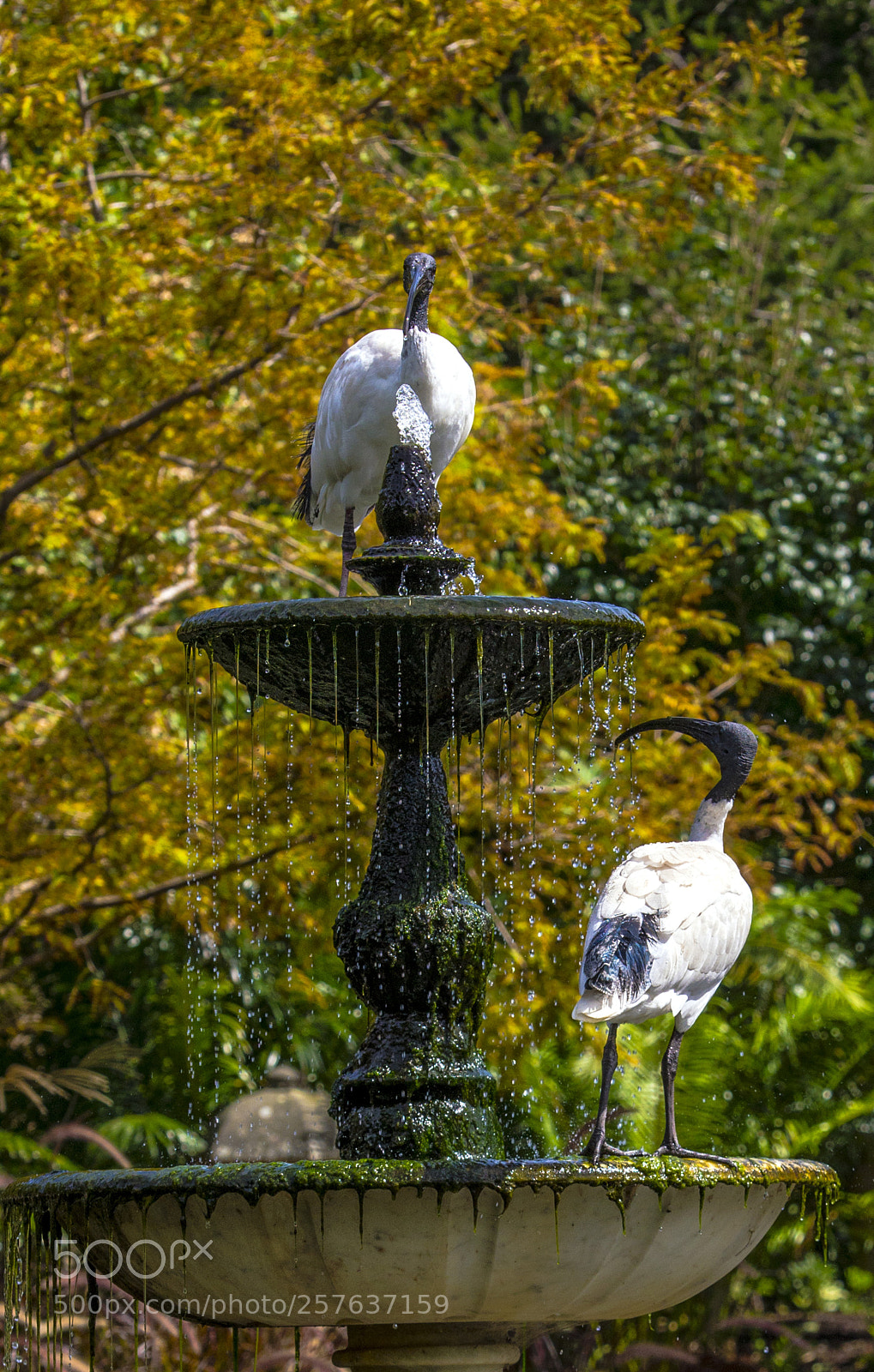 Nikon D800 sample photo. E photography