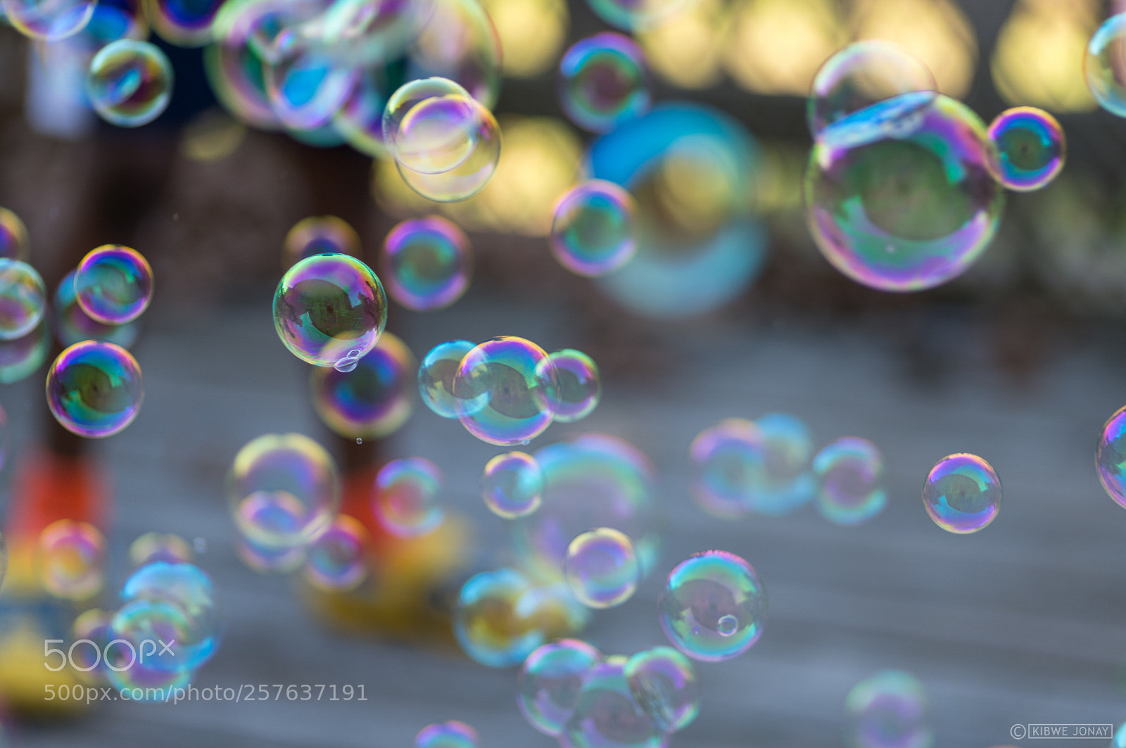 Nikon D850 sample photo. Child's play #2 photography