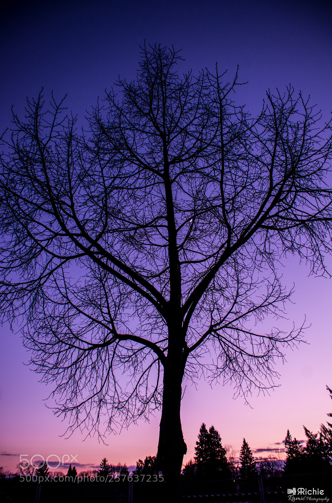 Nikon D7100 sample photo. Sunrise photography