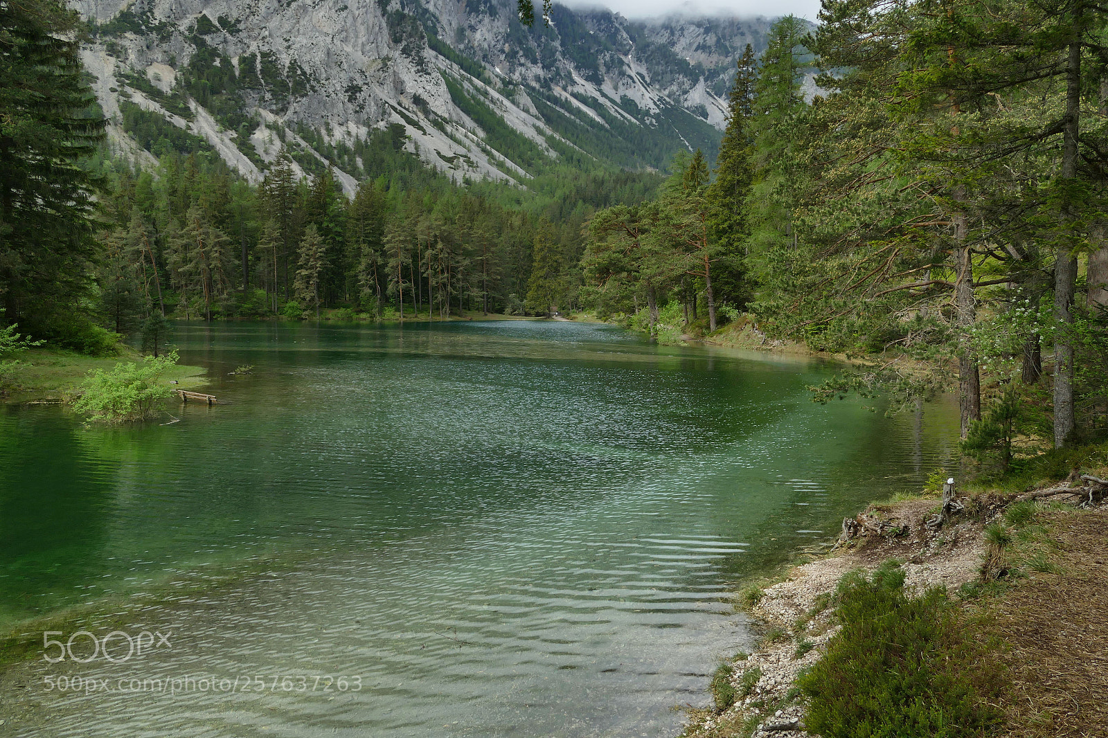 Panasonic Lumix DMC-FZ1000 sample photo. Gruener see steiermark, green photography