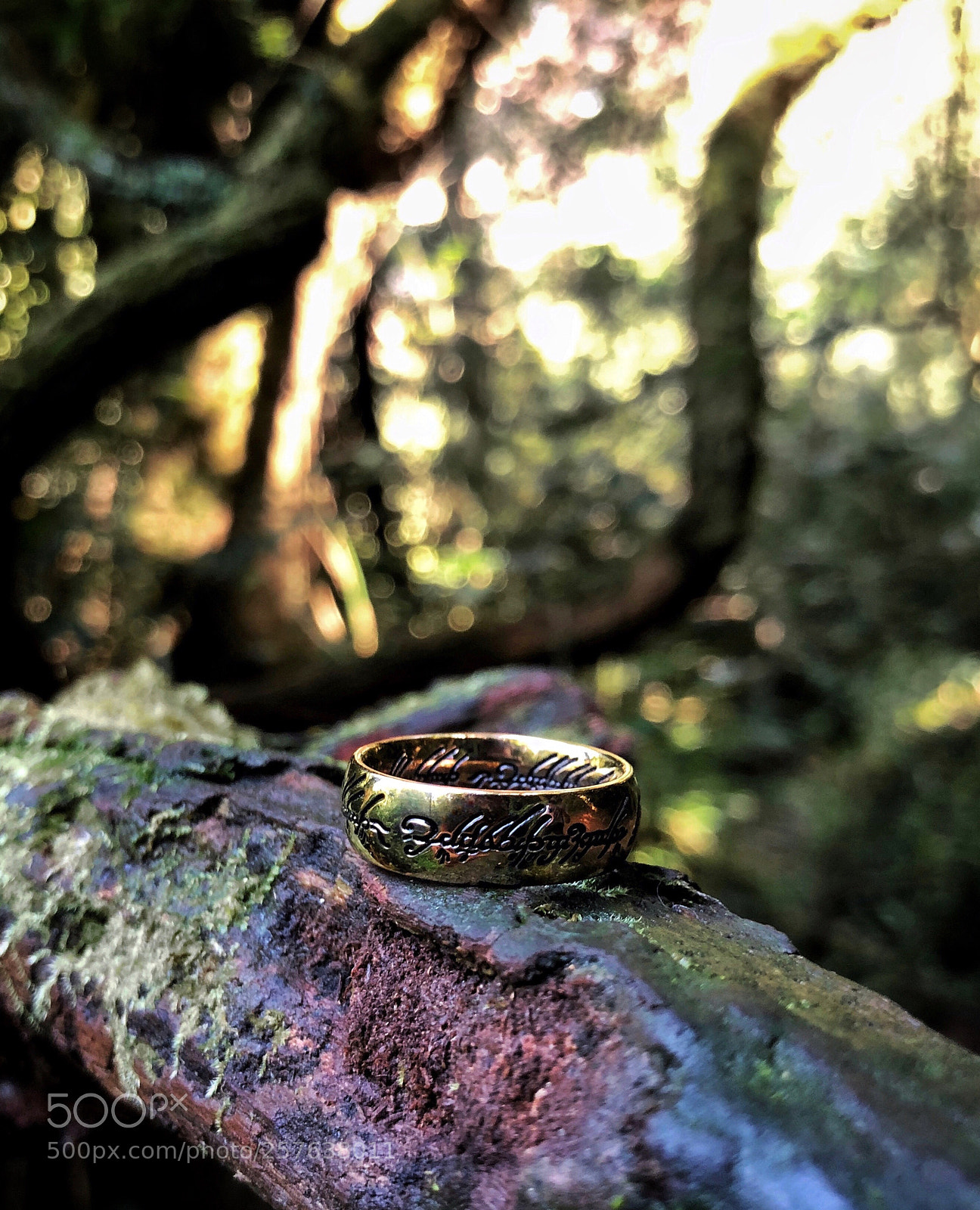 Apple iPhone X sample photo. One true ring photography