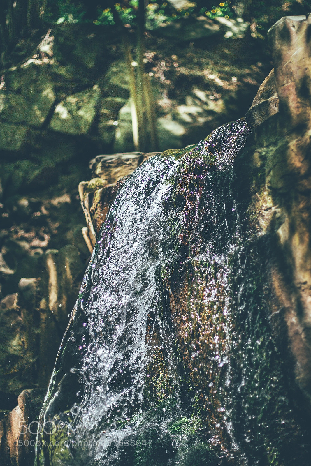 Canon EOS 6D sample photo. Untitled photography