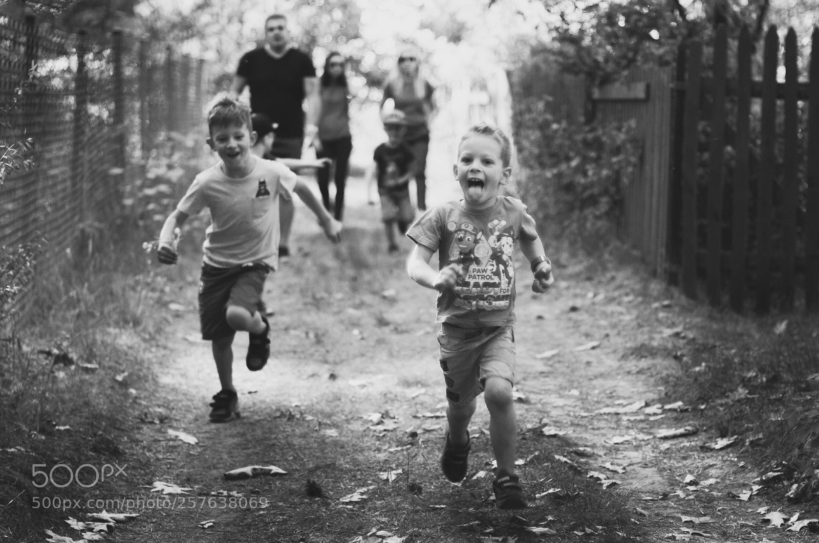 Nikon D300S sample photo. Untitled photography