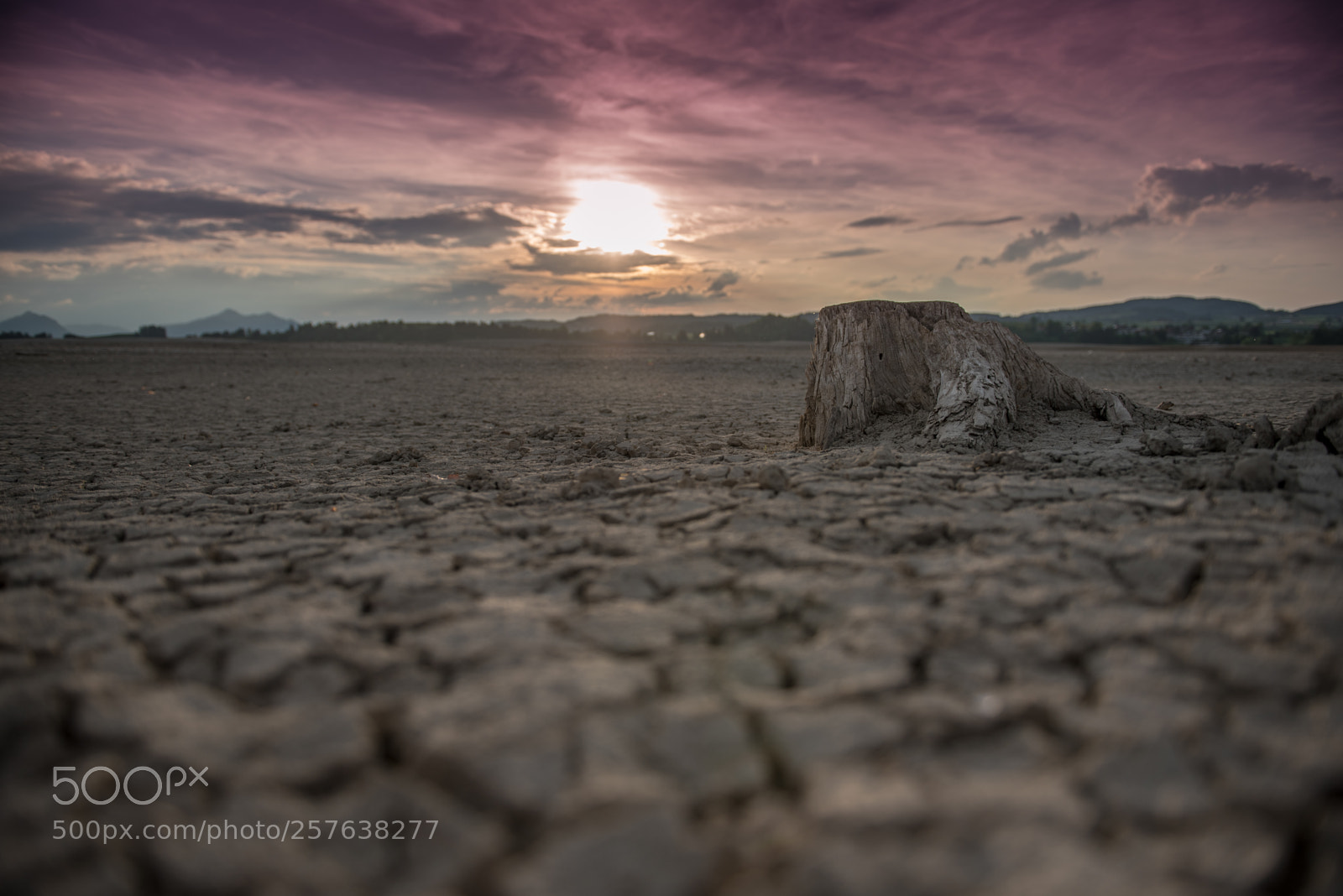 Nikon D750 sample photo. Empty forggensee while sunset photography