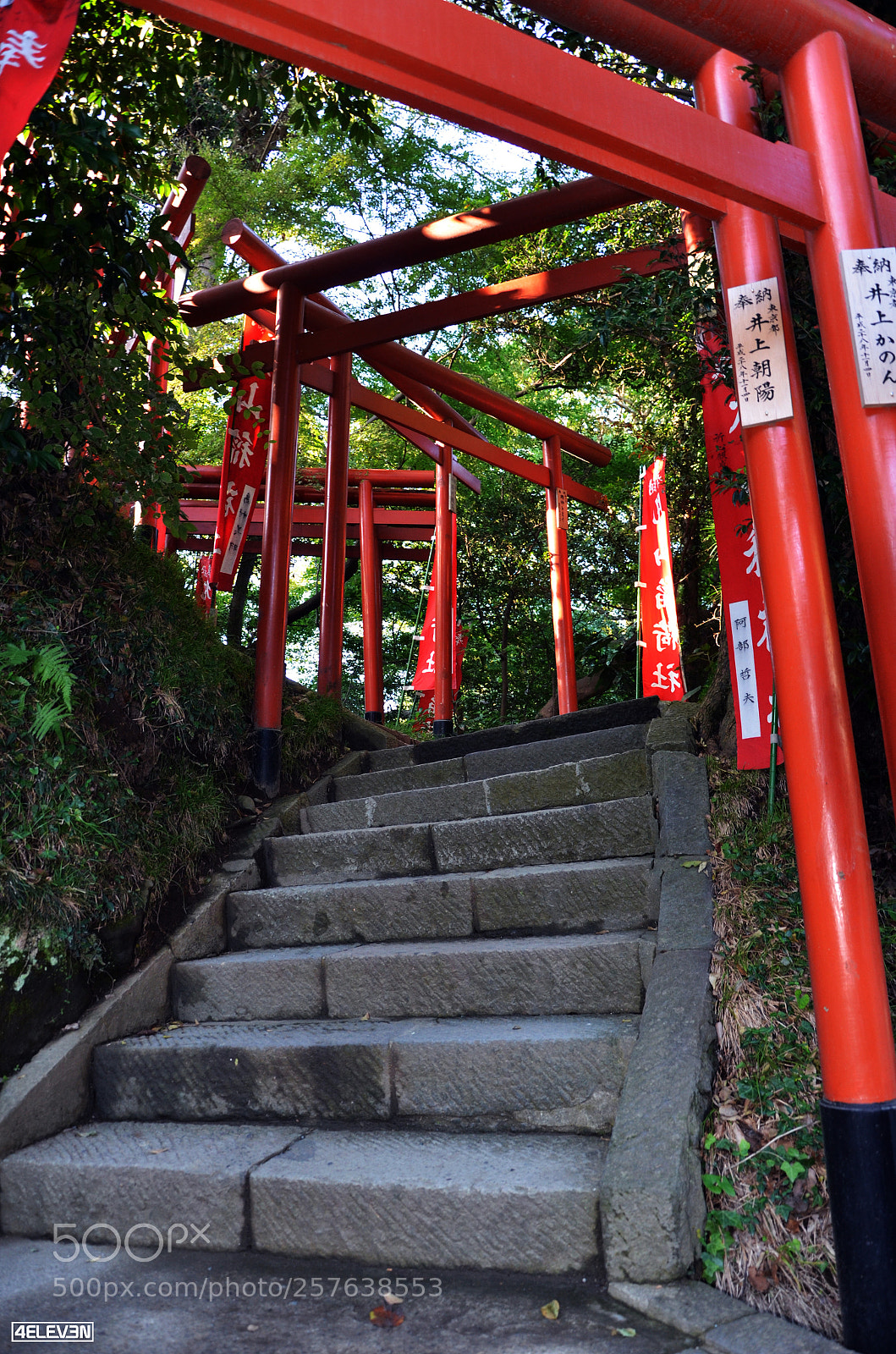Nikon D7000 sample photo. Torii gates in kamakura photography