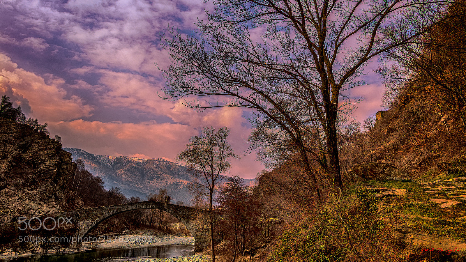 Canon EOS 77D (EOS 9000D / EOS 770D) sample photo. Trees on devil's bridge photography