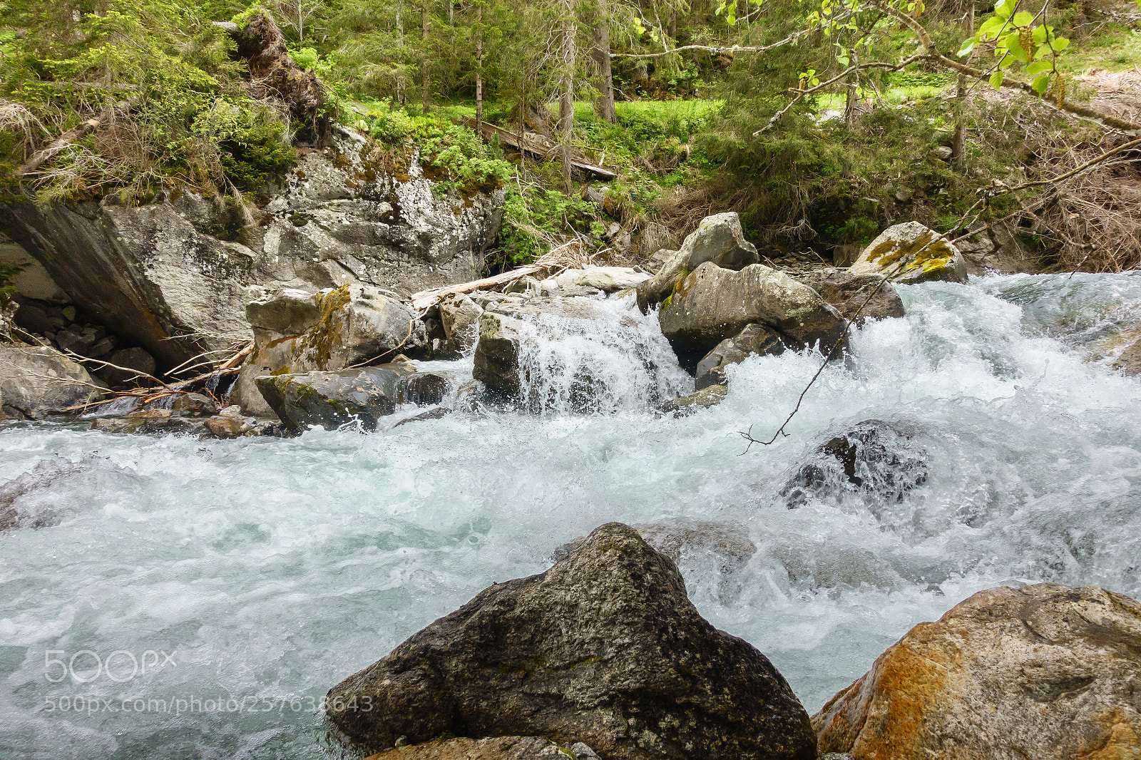 Sony Cyber-shot DSC-RX100 III sample photo. Im zillergrund photography