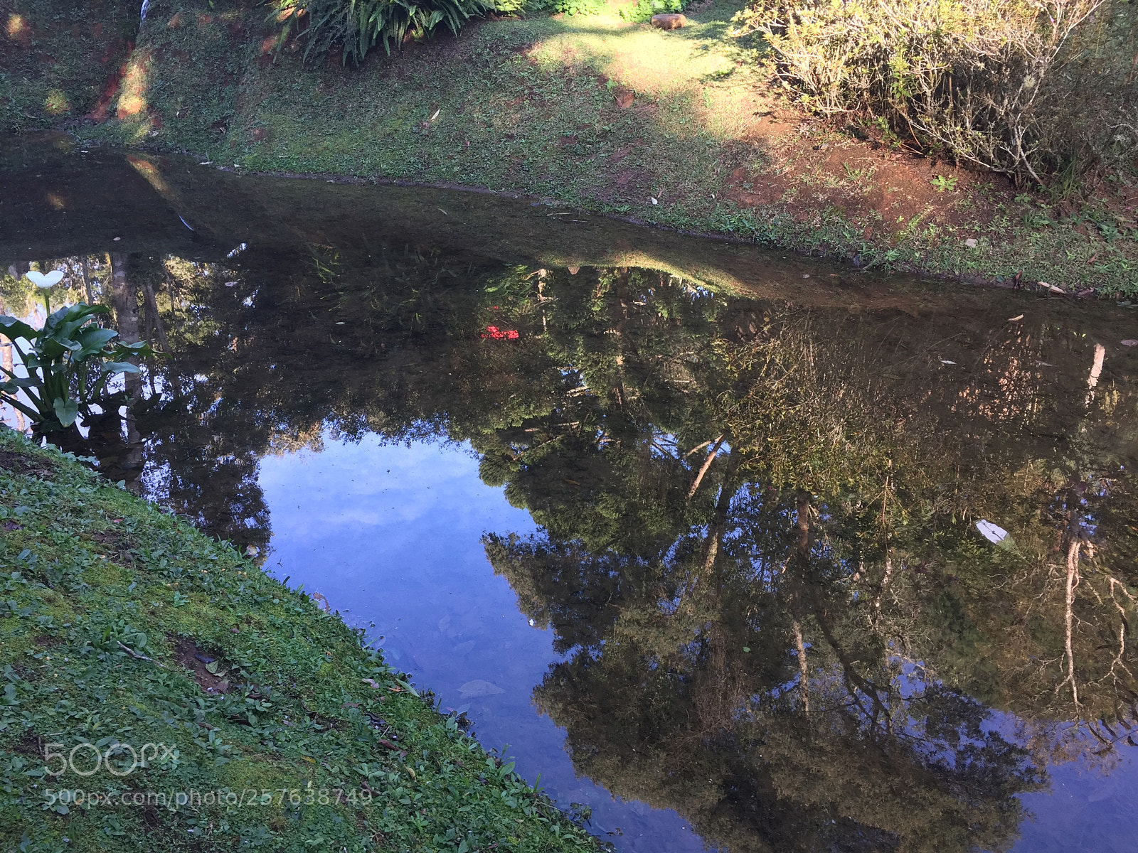 Apple iPhone 6 sample photo. Lago photography