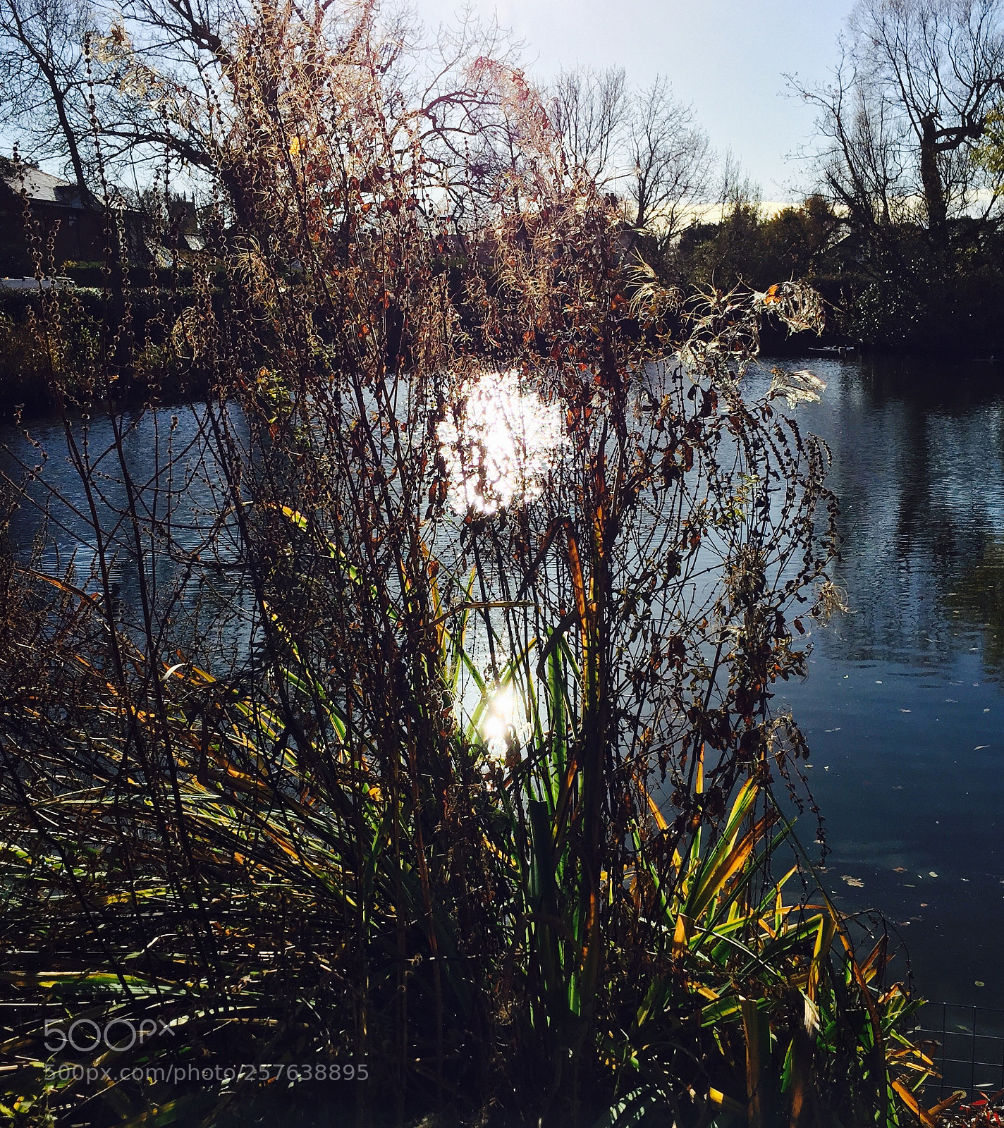 Apple iPhone 6 sample photo. Moat pond 3 photography