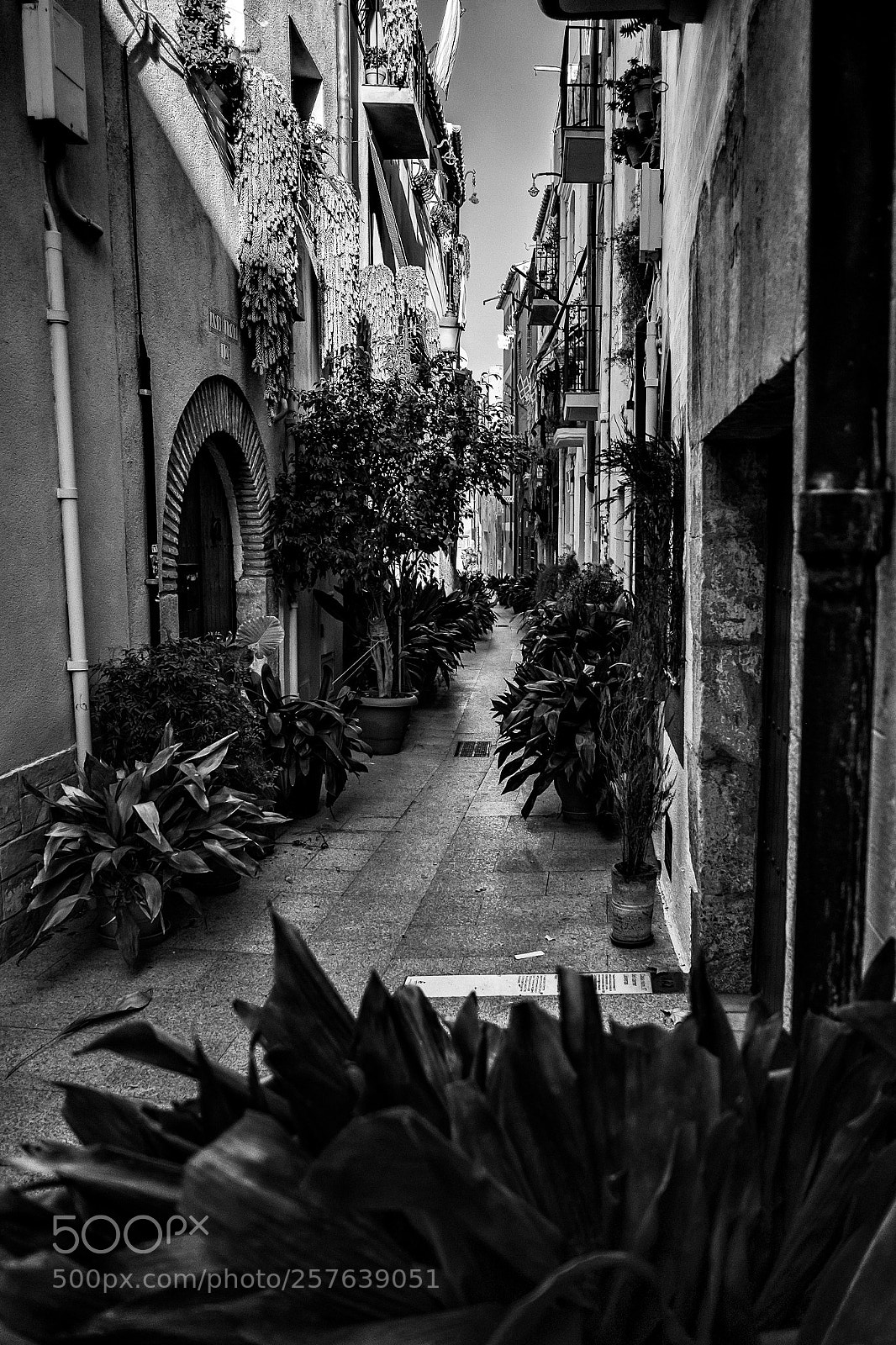 Fujifilm X-Pro1 sample photo. C'est la rue des photography