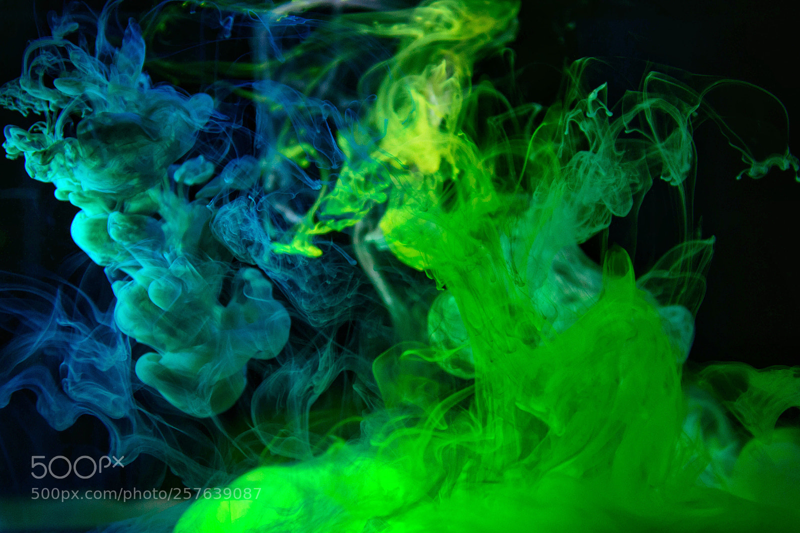 Nikon D800 sample photo. The power of liquid #2 photography