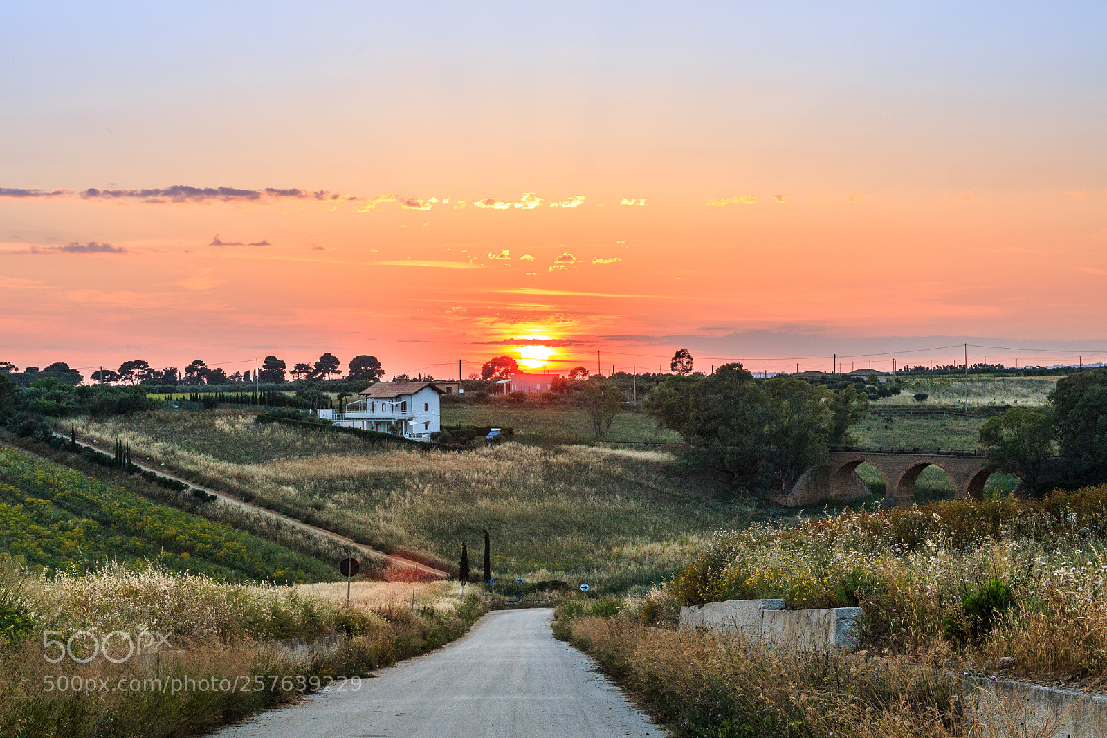Canon EOS 70D sample photo. Porto_palo photography