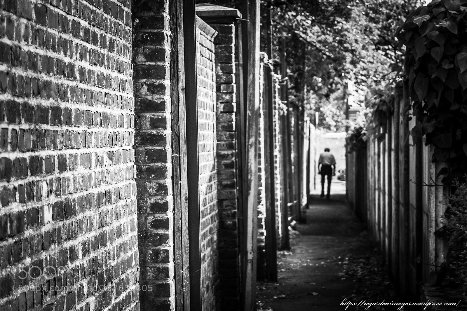 Canon EOS 1000D (EOS Digital Rebel XS / EOS Kiss F) sample photo. Le passage https regardenimages.wordpress.com photography