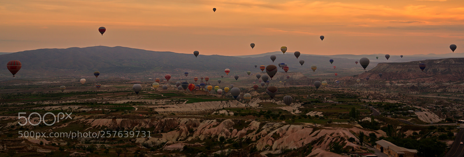 Sony a7R II sample photo. Ballons  photography