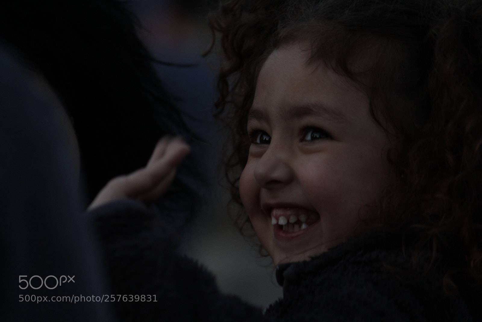 Canon EF-S 55-250mm F4-5.6 IS II sample photo. Mg photography