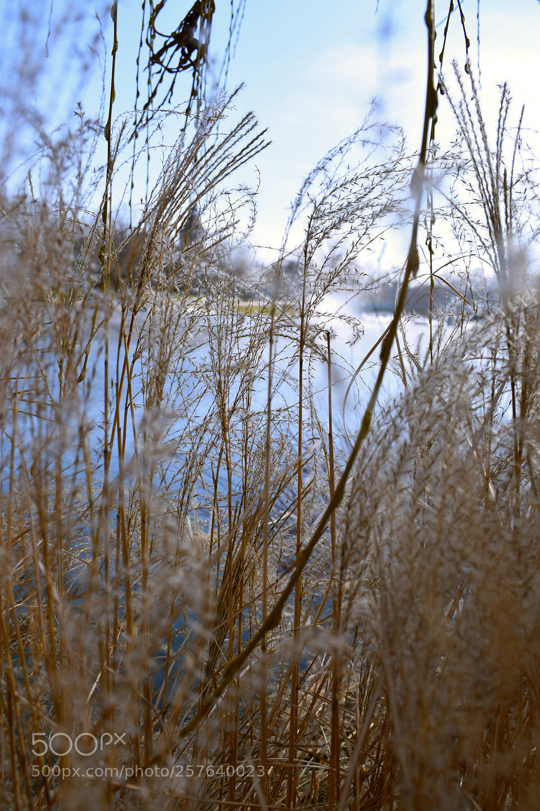 Nikon D5300 sample photo. Blurred lake view photography