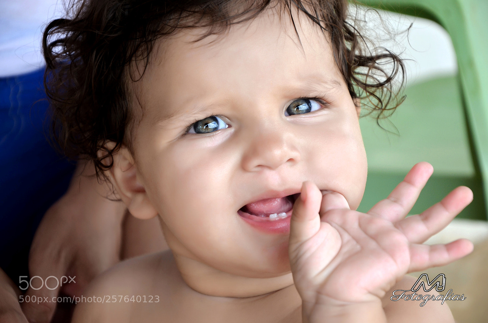 Nikon D7000 sample photo. Ed photography