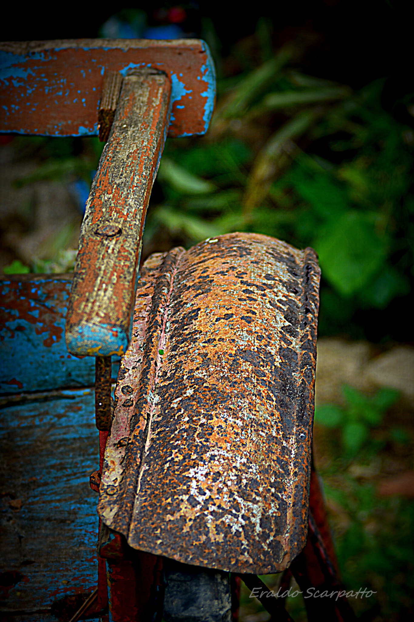 Nikon D7200 sample photo. Dsc_5633.1.jpg photography