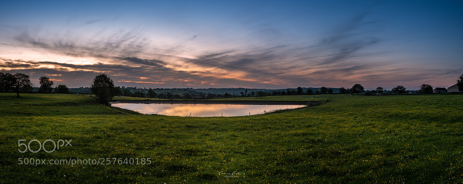 Nikon D750 sample photo. Burgundy landscape panorama photography