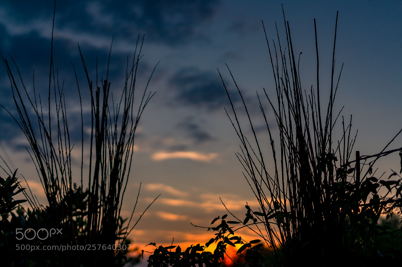 Sony a7 sample photo. Hidden sunset photography