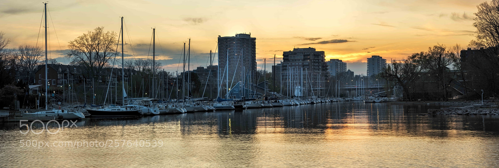 Nikon D810 sample photo. Oakville photography