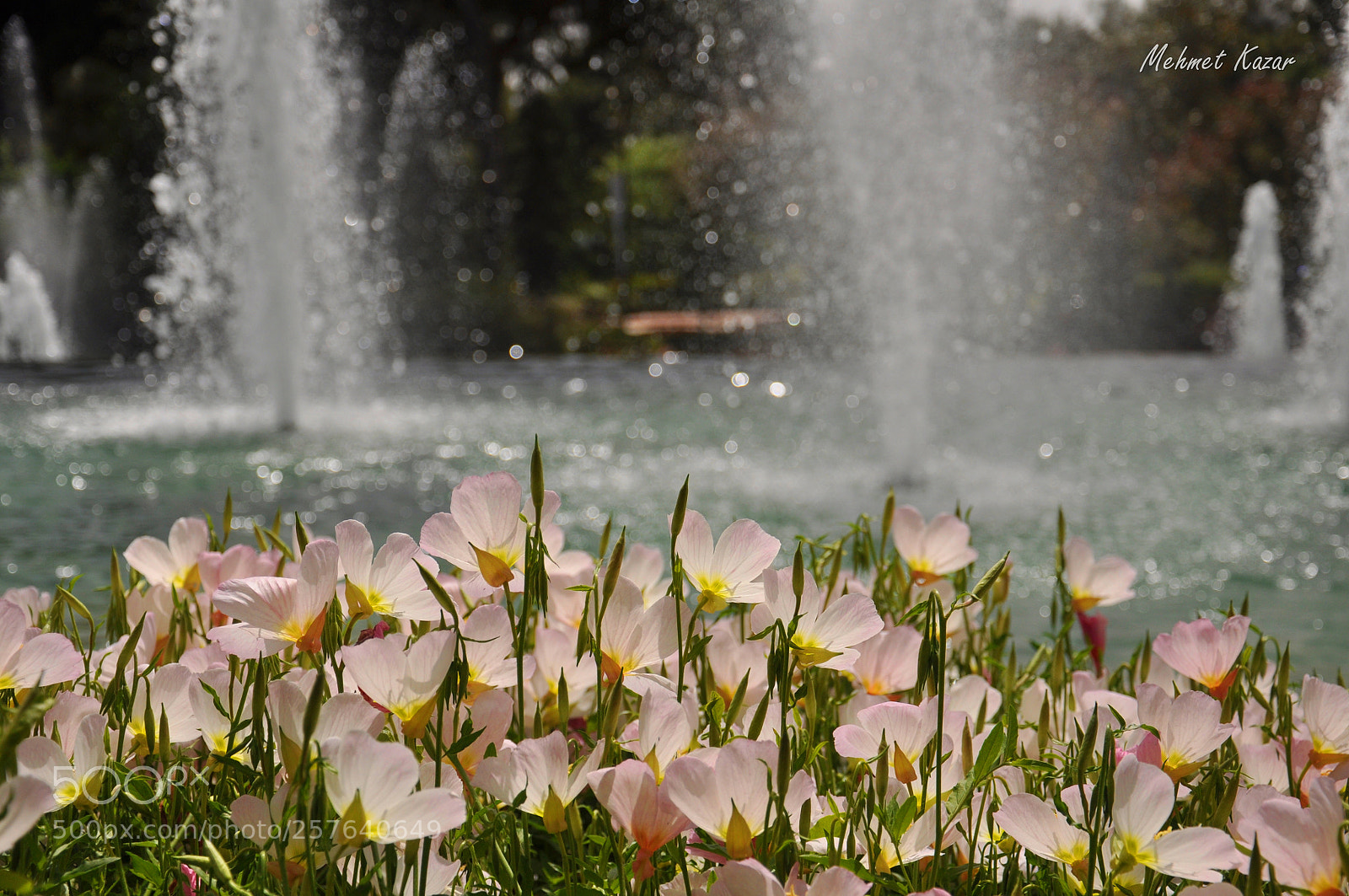 Nikon D90 sample photo. Untitled photography