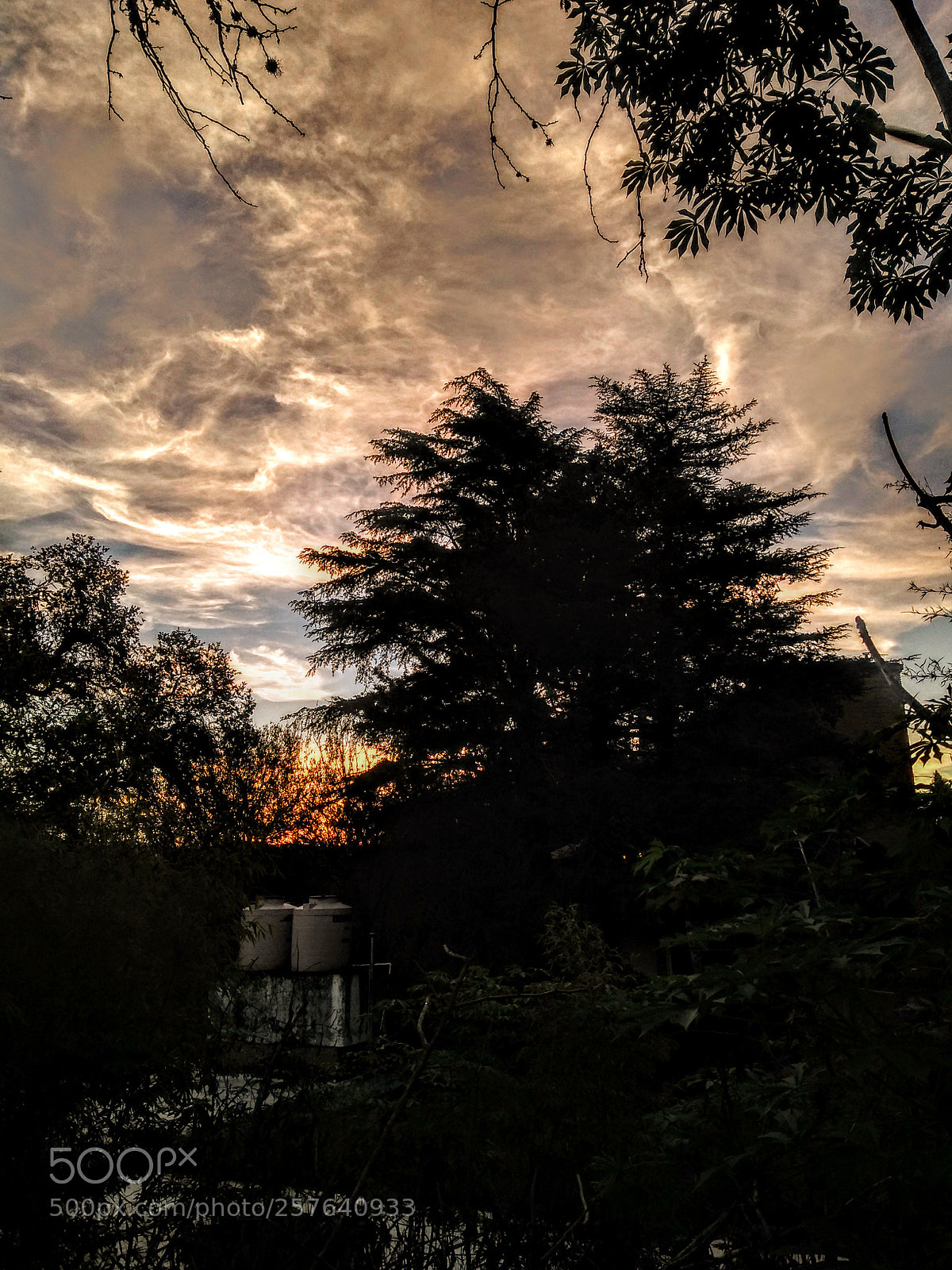 Motorola Moto G (5S) Plus sample photo. Ipa's house photography