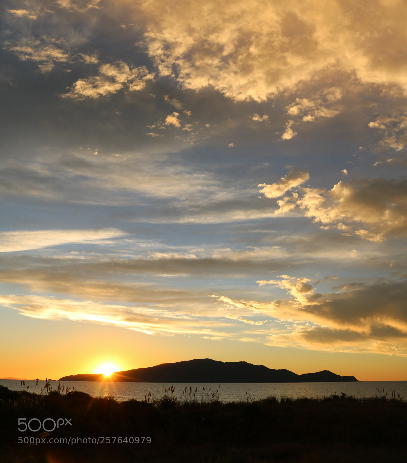 Canon EOS 750D (EOS Rebel T6i / EOS Kiss X8i) sample photo. Kapiti island photography