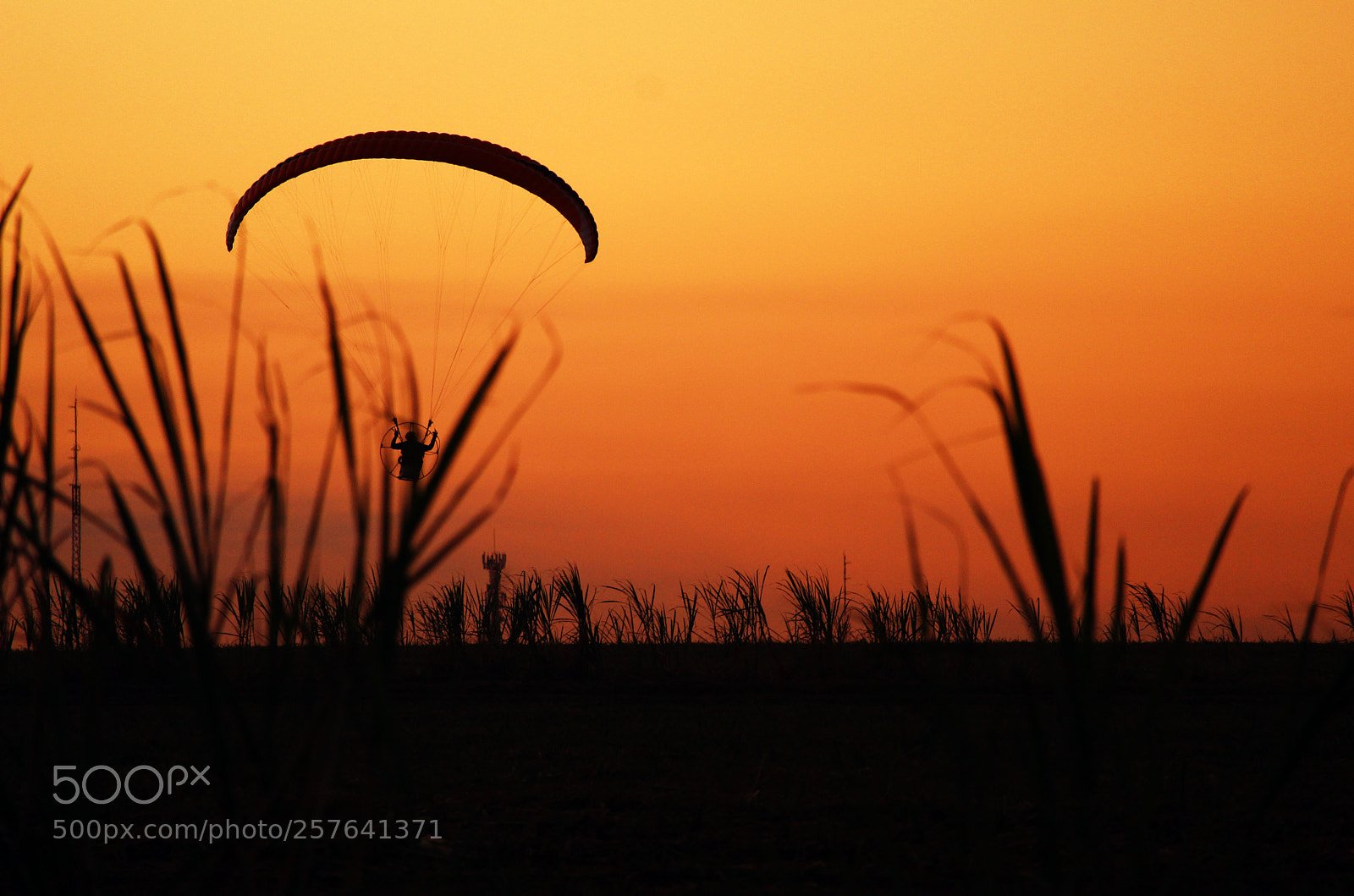 Canon EOS 1300D (EOS Rebel T6 / EOS Kiss X80) sample photo. Paramotor photography