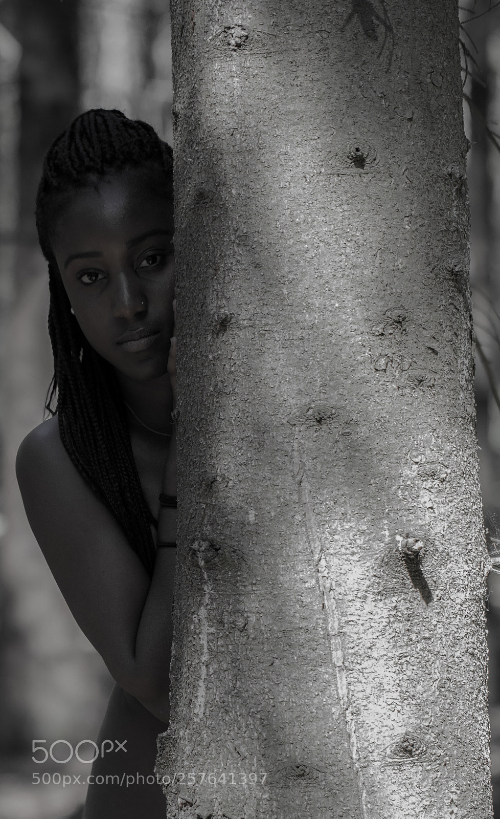 Canon EOS 6D Mark II sample photo. Img photography