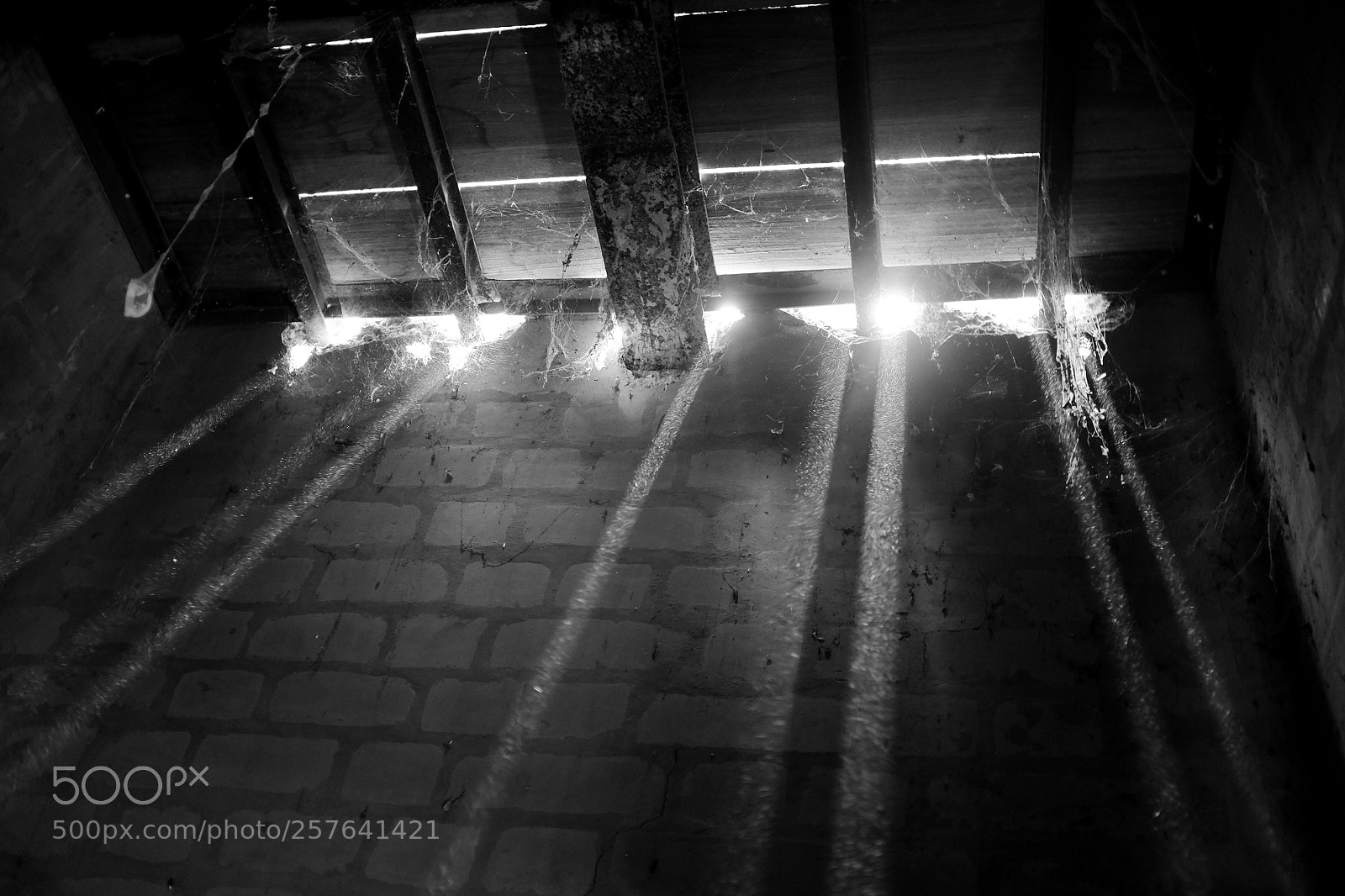 Fujifilm X100S sample photo. Untitled photography