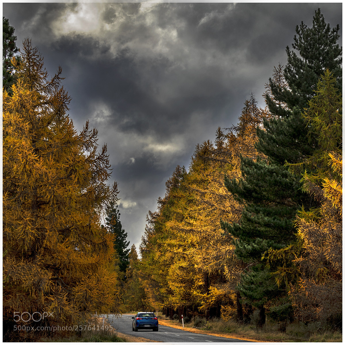 Canon EOS 5D Mark IV sample photo. Autumn raod to ohau photography