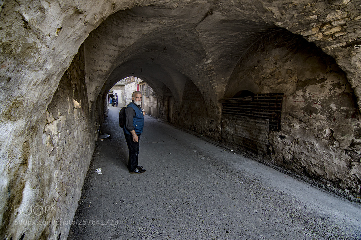 Nikon D7200 sample photo. Gateway photography