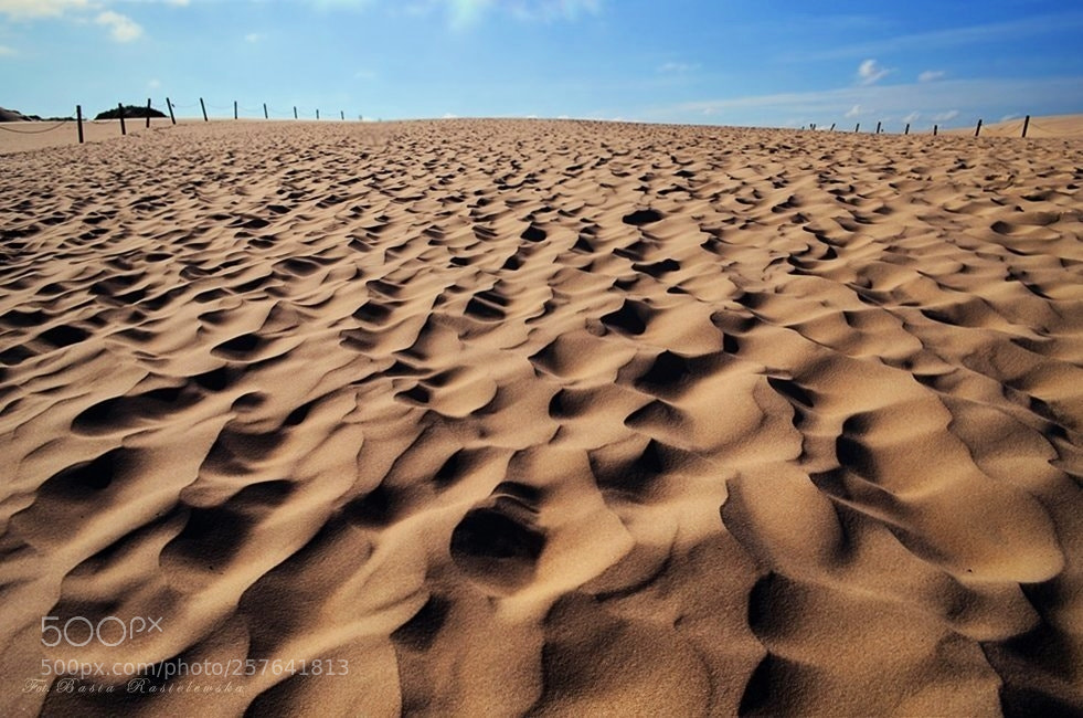 Nikon D5100 sample photo. On the dune... photography