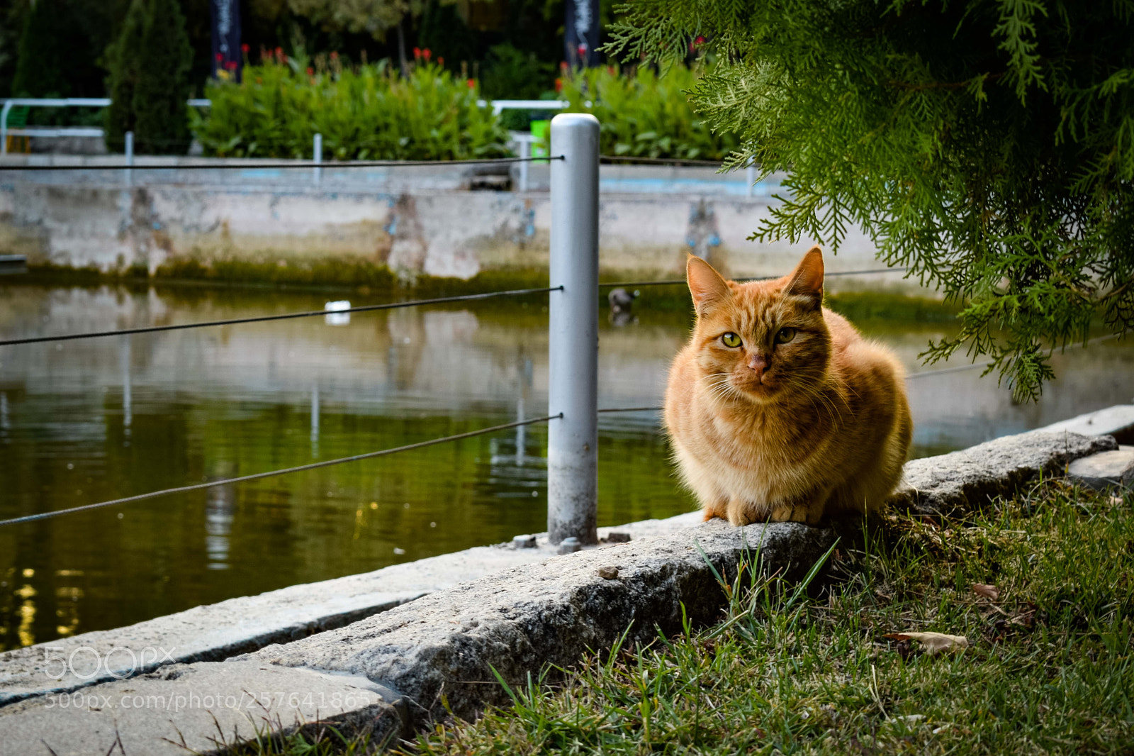 Nikon D3300 sample photo. Looking for... photography