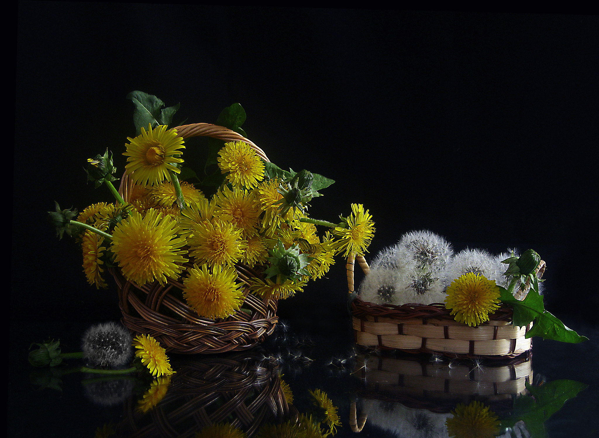 Canon PowerShot A3000 IS sample photo. Dandelion baskets photography