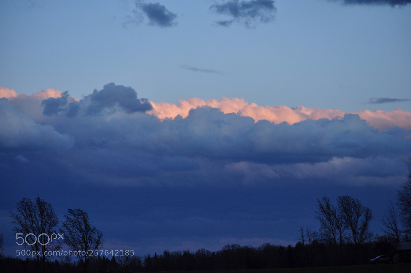 Nikon D5000 sample photo. Awaiting the storm photography