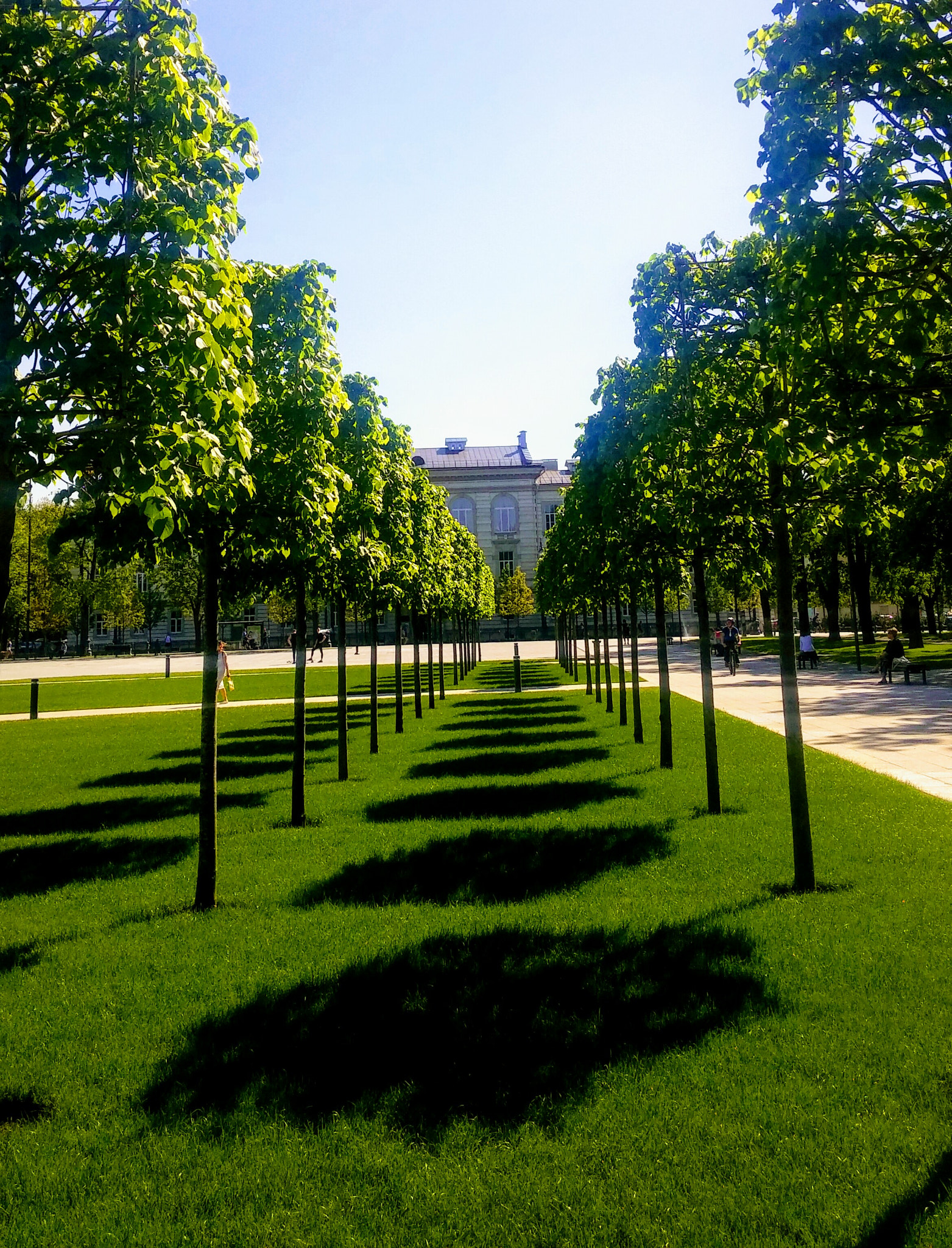 LG G3 sample photo