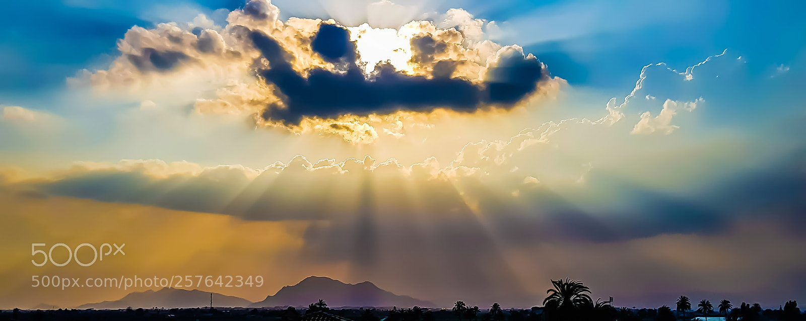Samsung Galaxy S8+ sample photo. Last sun photography