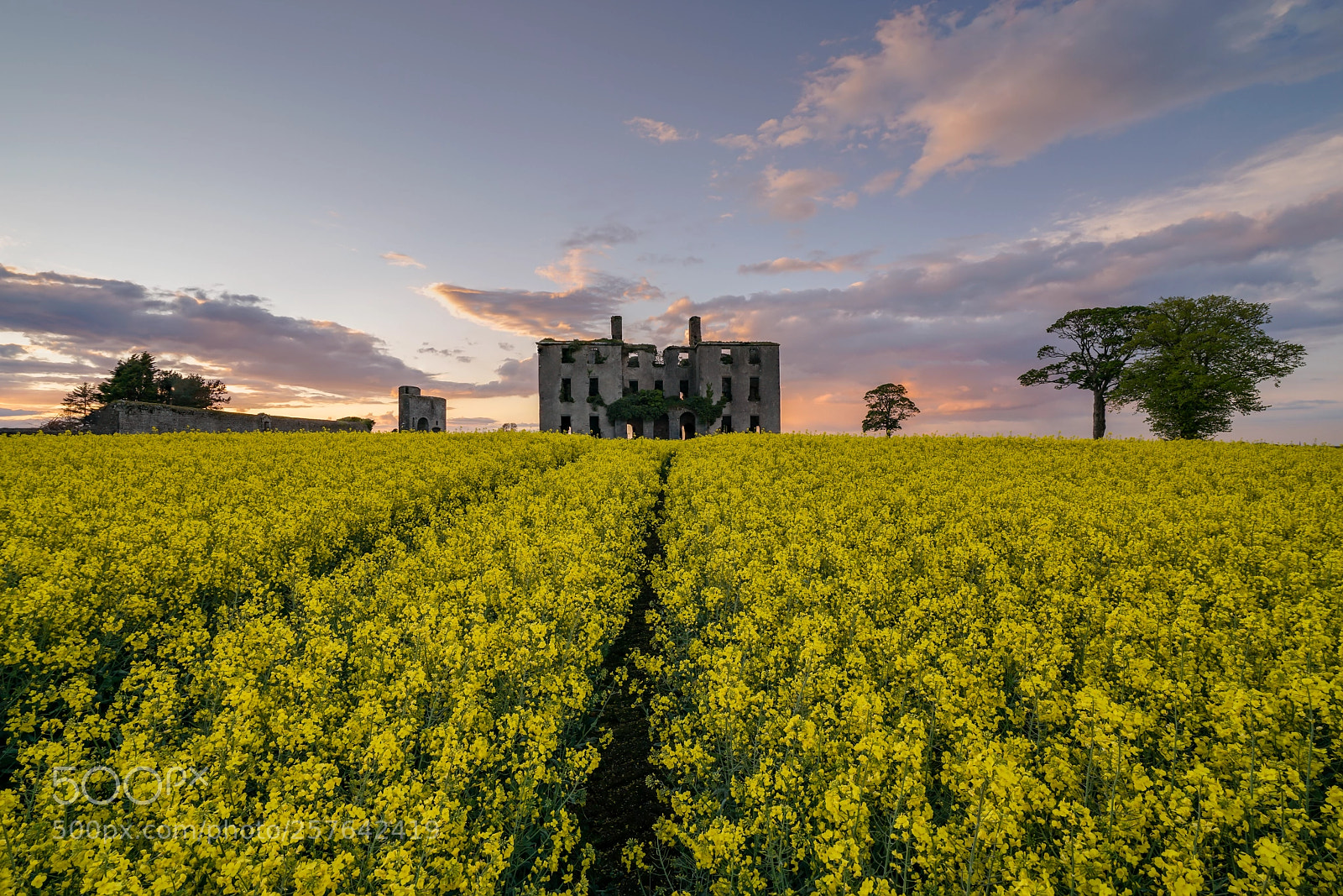 Sony a7R II sample photo. Rathcoffey castle, co. kildare photography
