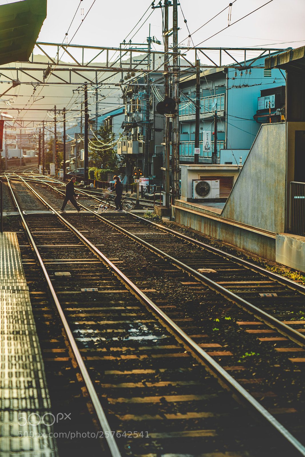Sony a7R III sample photo. Crossing the electric railroad photography