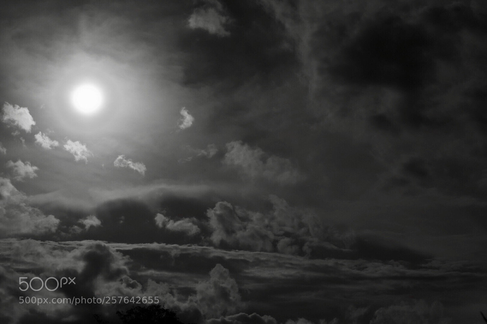 Nikon D3300 sample photo. Le soleil. photography